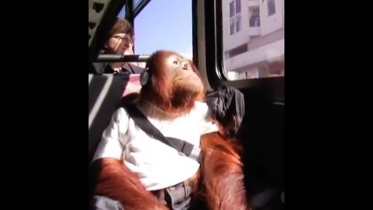 [FREE] DON TOLIVER X LIL TECCA TYPE BEAT - 