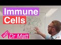 Immune cells | Introduction