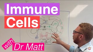 Immune cells | Introduction