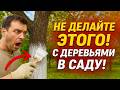 НЕ ДЕЛАЙТЕ ЭТОГО с деревьями в саду! 🚫 Побелка в сентябре — бесполезная и даже вредная работа.