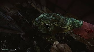 How to do the quest stirrup in 1 raid Escape From Tarkov