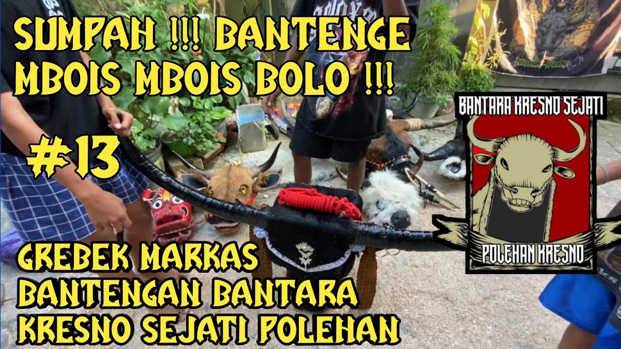 SUMPAH !!!! BANTENGE MBOIS MBOIS, GREBEK MARKAS BANTENGAN BANTARA KRESNO SEJATI POLEHAN KOTA MALANG.