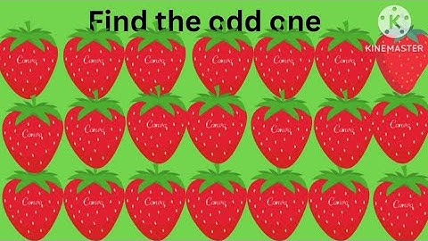 Find the odd one// Easy/ Medium/ Hard //  Quiz challenge 2024