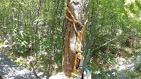 DELTA RETRIEVABLE REDIRECT