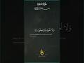 Surah Shuhara Beautiful Recitation Youtubeshorts Liveislam SurahShuhara Surah Shuhara Beautiful Recitation Youtubeshorts Liveislam SurahShuhara