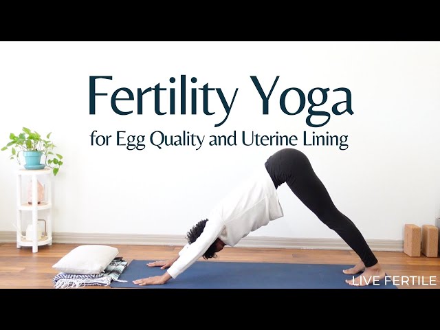 25-Minute Fertility Yoga for Egg Quality and Uterine Lining 