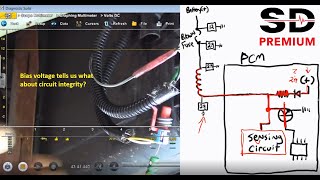 An SD Premium lesson on Bias Voltage