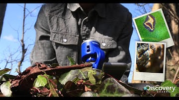 Discovery Channel Smart Phone Microscope