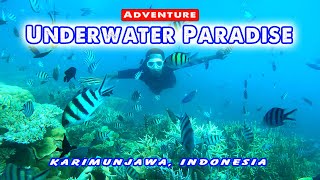 Jelajah Surga Bawah Laut, Explore Karimunjawa Hari Ke-2