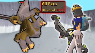 5,000 hours without a pet (GIM #64)