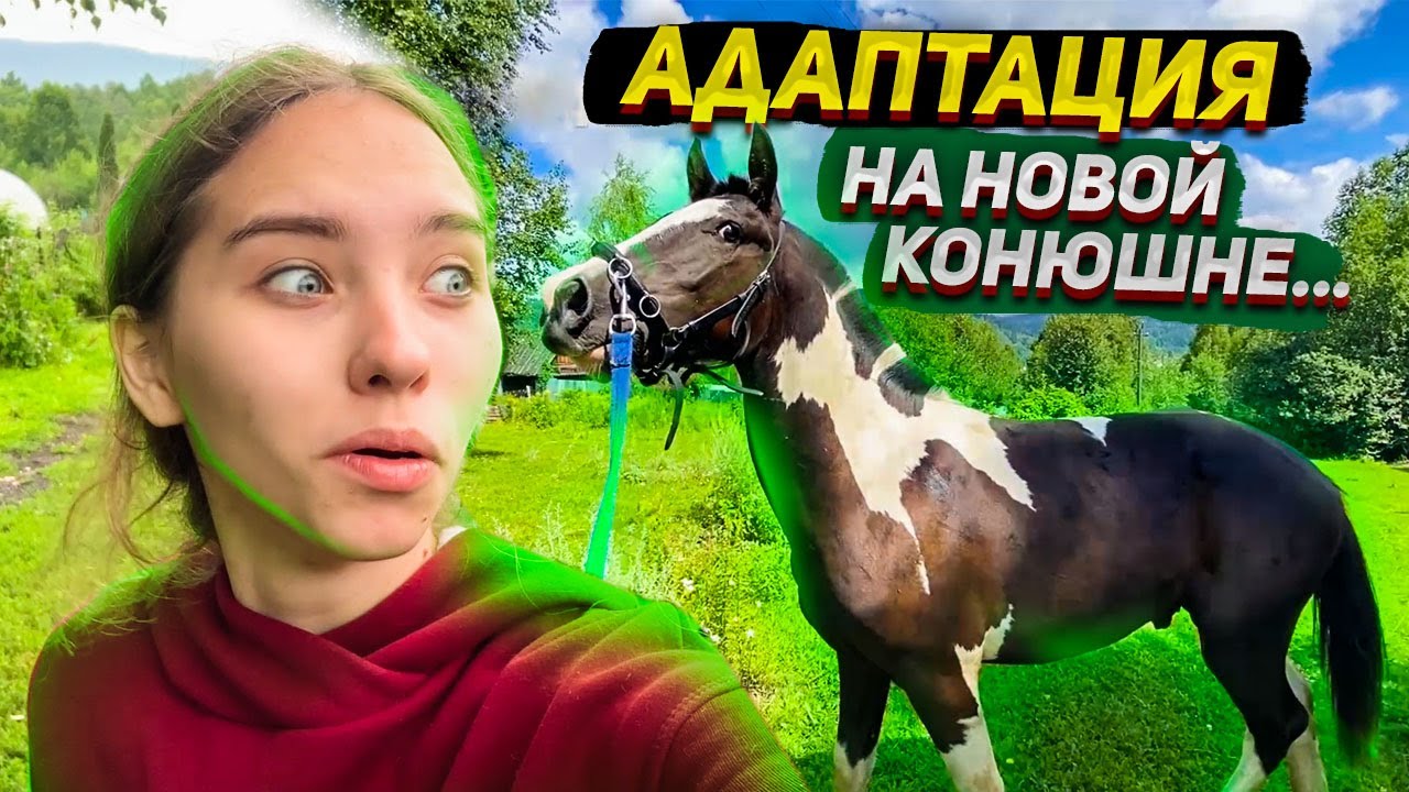 Машина хардина скотта