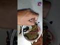 How to make AC Cooler || Deshi Jugad || Lalit Technical Experiment || #lalit