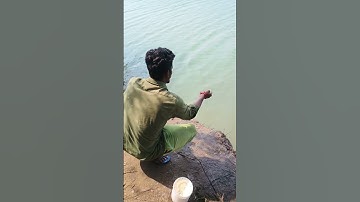 MULLET FISH MAGNET TRAP! 🤯 (Only Water Bottle + Maida Flour)