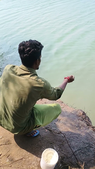 MULLET FISH MAGNET TRAP! 🤯 (Only Water Bottle   Maida Flour)