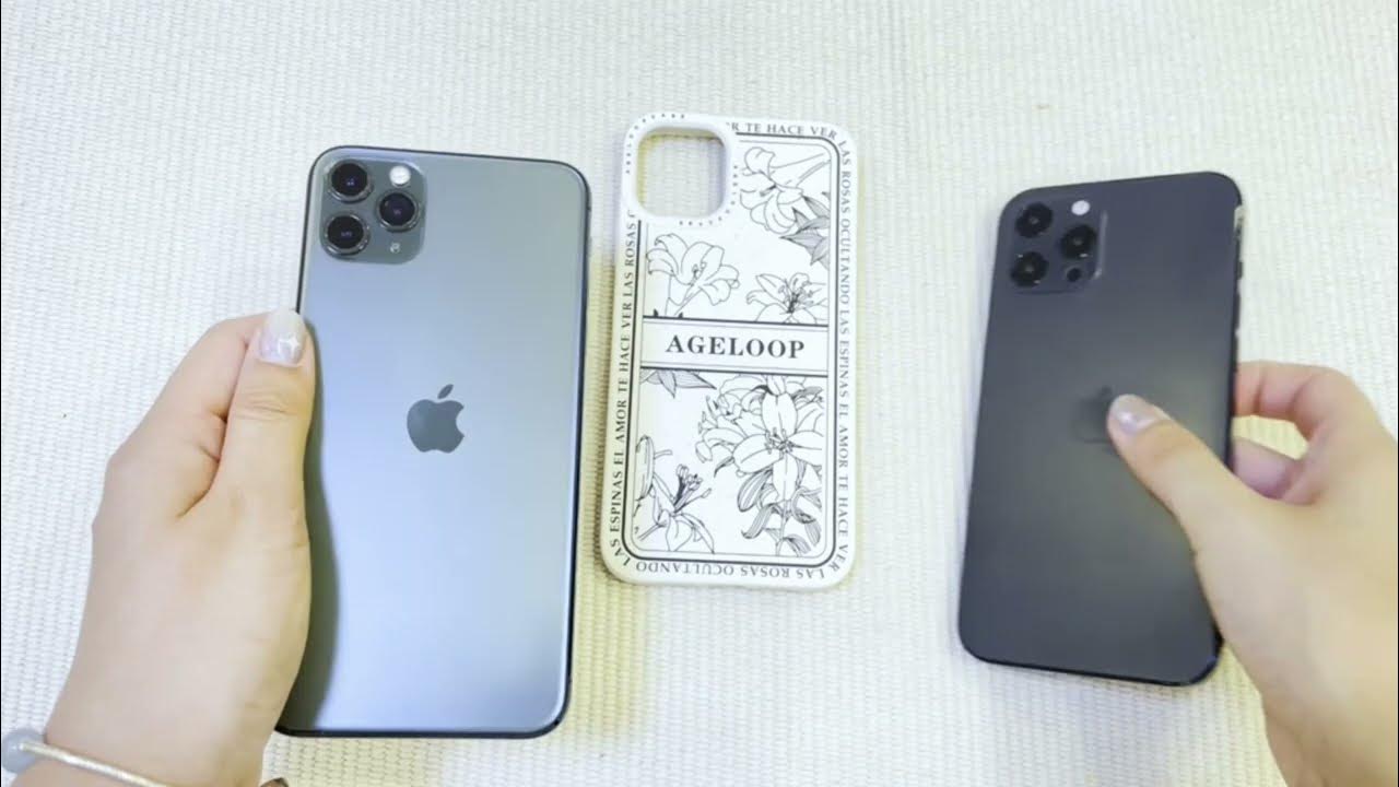 Do iPhone 11 Pro Max Cases Fit iPhone 12 Pro Max? 