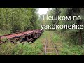 Прогулка по узкоколейке