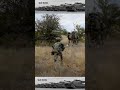 Soldiers Undergo Basic Training in Mountainous Areas