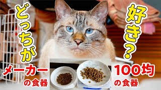 100均の食器とメーカーの食器に同じご飯を入れたら猫はどっちを食べるのか？【夏バテの食欲不振を解消】