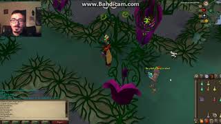 osrs new boss Deranged Archaeologist fossil island