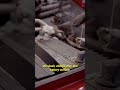 How To Clean Car Battery Terminals Correctly #batteryterminal #mechanic