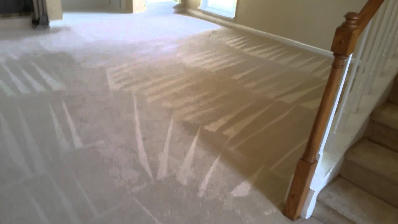 carpet cleaning lilburn ga logo