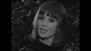 Léonie »🌼«  La fleur de serre (1968)