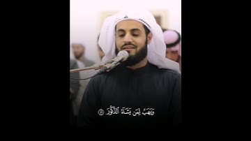 تلاوة هادئة بصوت رعد الكردي 🤍😴                  #قرآن #رعد_الكردي #quran