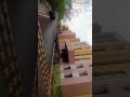 #collegelife schedule 😅 | “Rain in Jhansi” ⛈️ |