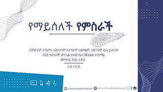የማይሰለች የምስራች