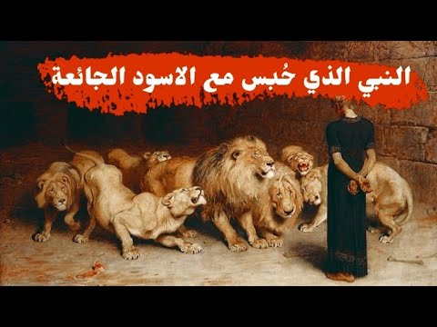 فيديو: 