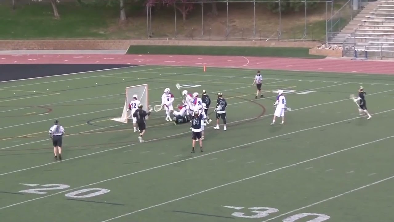 Lacrosse Razor Picks