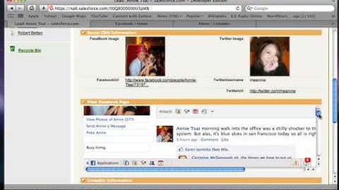 Social CRM Tools Plugin for Salesforce.Com - Lead View