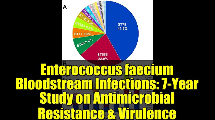 Enterococcus faecium Bloodstream Infections: 7-Year Study on Antimicrobial Resistance & Virulence