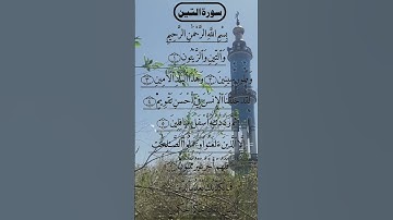 SURAH AT TIN BEAUTIFUL VOICE 😍 سورة التين #egzonibrahimi #altın #surahattin