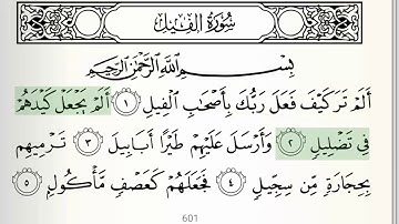 سوره - 105 - الفیل - تجوید دقیق قرآن - محمود خلیل الحسری