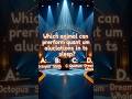 Which animal can prerform quant um aluclations in ts sleep? #funny #iqtest #videoviral
