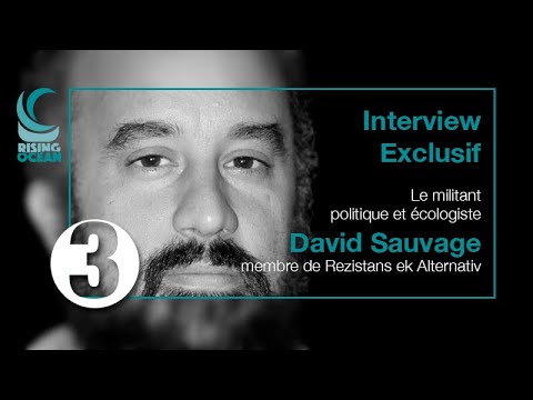 3ème partie de l'entretien exclusif de David Sauvage - Le monde après la pandémie du Covid-19