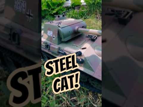 Big Cat On The Hunt.  #rccar #rctank #rcpanther