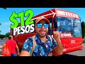 ✅ CANCUN ► GUIA COMPLETA del Transporte en Cancun y la Riviera Maya - REY TRIPS