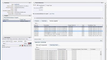 See patches applied to your Oracle database home using Enterprise Manager 12c