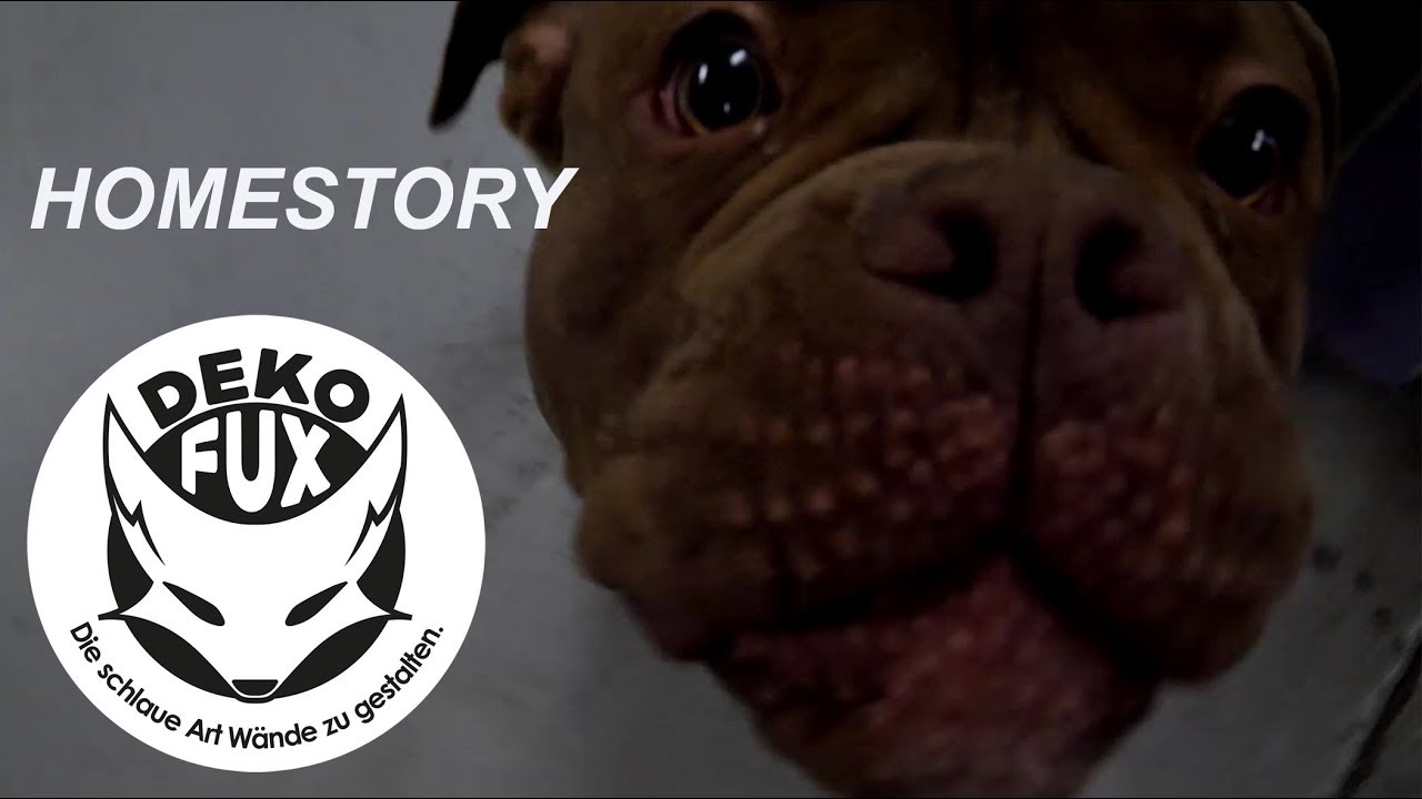 Homestory - So lebt der DekoFux