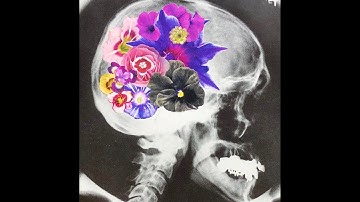 Intac - Wait and See (Real Good)