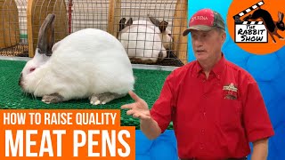 How to raise quality Meat Pens by Darrell Howe, former President National Californian Rabbit Club