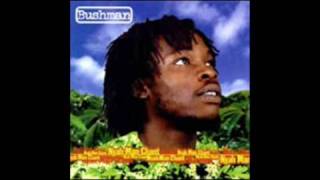 Miniatura del video "bushman, nyah man chant"