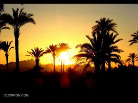 Reza Monadi سر بندر2 Sar Bandar2 رضا منادی