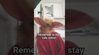 never reveal personal info!! #internetsafety #therianpride #furry