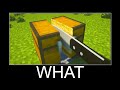 Cursed Chest in Minecraft wait what meme part 205