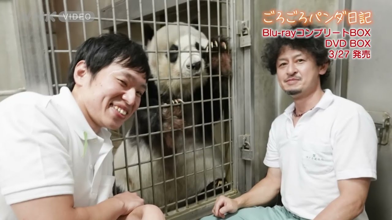 ごろごろパンダ日記BOX（2026）PR動画 - YouTube