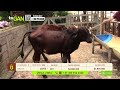 Tu vitrina ganadera - TvAgro por Juan Gonzalo Angel