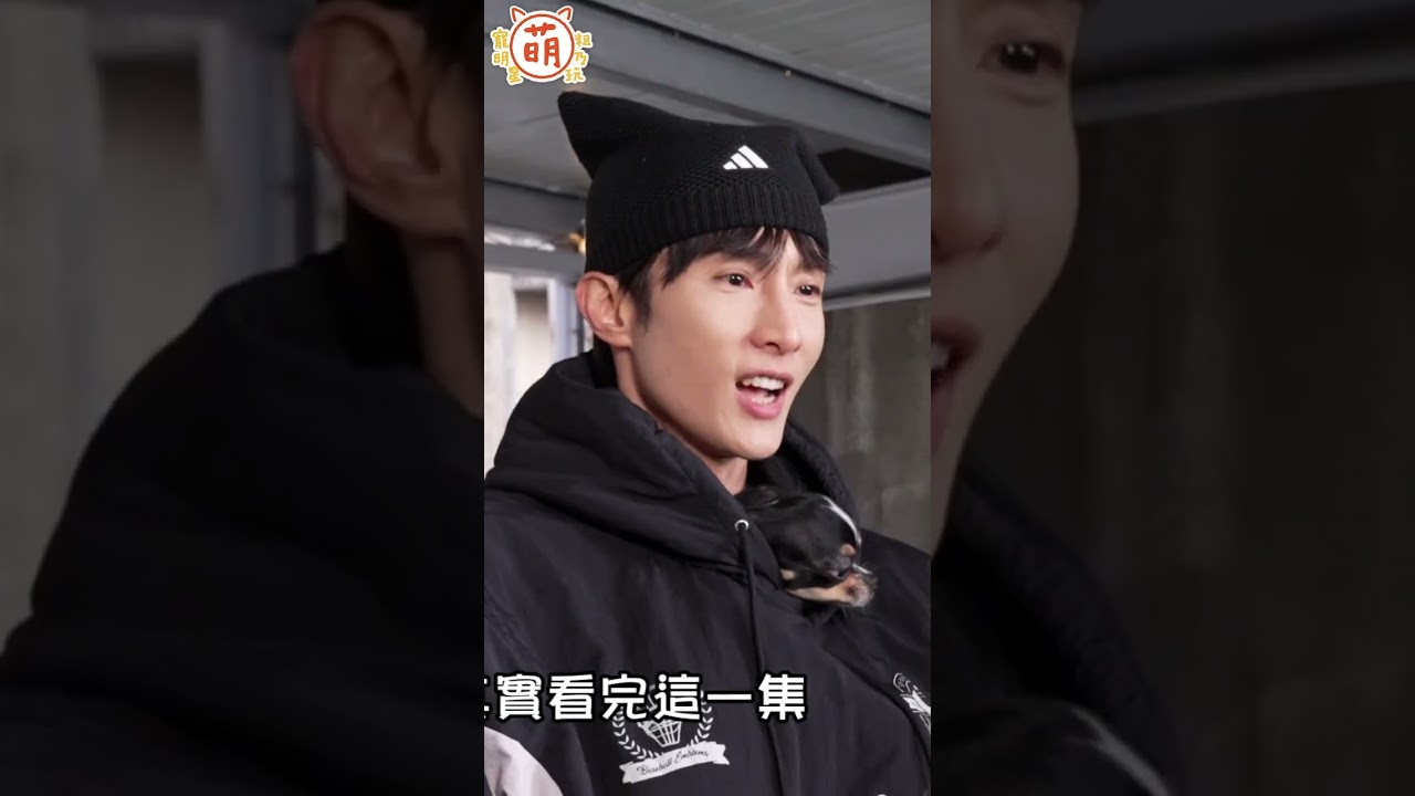 吉娃娃冷知識!就連阿本都想收編!😍【 #主子好萌 】週三晚上9點準時鎖定YT #萌寵明星粗乃玩 縮圖